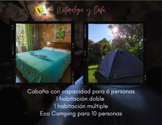 Eco Lodge Villa Laura - 3