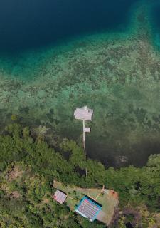 Eco-Lodge Bocas Coral Reef - Over water villa & birds house - Botabite - 8