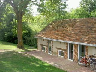 Charmant gîte rénové avec jardin, terrasse, cheminée et wifi - animaux acceptés - FR-1-489-22 - Châtel-de-Neuvre - 5