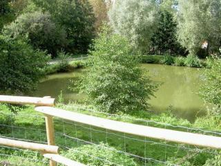 Charmant gîte rénové avec jardin, terrasse, cheminée et wifi - animaux acceptés - FR-1-489-22 - Châtel-de-Neuvre - 4