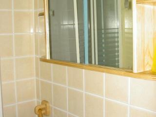 Gîte indépendant rénové, animaux acceptés, jardin - La Tourne - FR-1-489-22 - 3