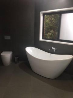 Adorable 1 bedroom private apartment - Bright - 3
