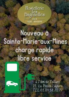 Hostellerie Les Bagenelles - Sainte-Marie-aux-Mines - 8