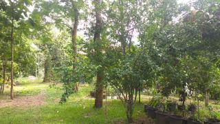 Tapovan Farm House - 3