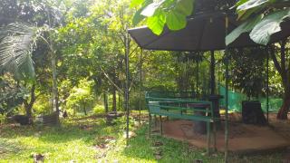 Tapovan Farm House - 6