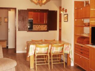Appartement 2P 6 pers avec balcon, accès direct pistes - FR-1-322-362 - Les Orres - 9