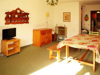 Appartement 6 personnes aux Orres, accès direct pistes, vue patinoire - FR-1-322-361 - Les Orres - 9