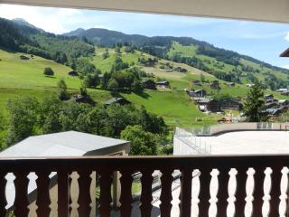 Appartement 4-6 pers, Beaufort, prox. pistes, piscine été, parking, animaux OK, bien équipé - FR-1-342-151 - Arêches-Beaufort - 1