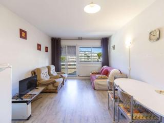 Studio 6 couchages au pied des pistes à Gourette - FR-1-400-94 - 0