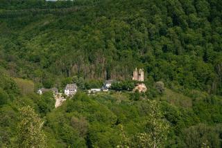 Kräuterhotel Villa Vontenie - 9