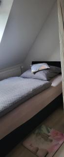 Apartmán DANY Hanušovice - Hanušovice - 5