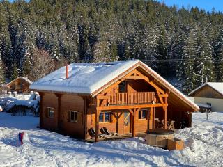 Le Chalet de la Devinière, bain nordique extérieur chauffé - Xonrupt-Longemer - 9