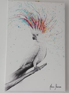 Victorian Renovation Room 3 - 4