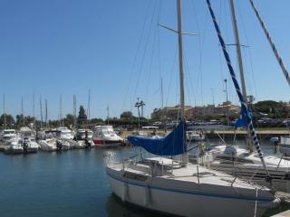 Raisin d'or, T2, parking, piscine - 8