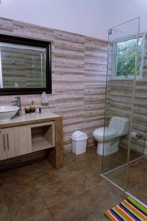 Dreamer Palomino - 3