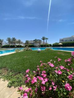 2 bedrooms Suntera - 1