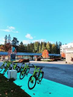 Joutjärven Studio Apartment - 3