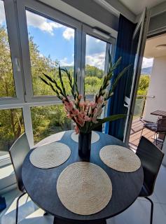 Apartament Blue BB - Bielsko-Biala - 9