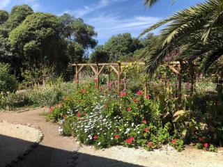 Cabañas en la naturaleza a pasos de la Playa - 1