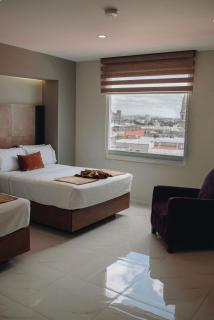 Hotel Dali Plaza Ejecutivo - Guadalajara - 2