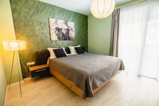 Alice apartment - Sibiu - 9
