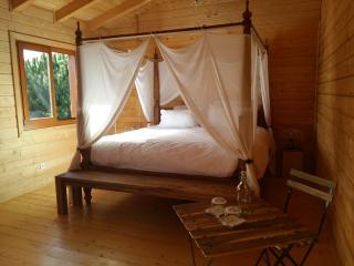 Ecolodge Bellevue ALBI - Albi - 2