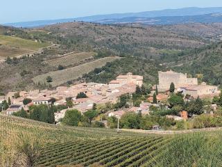 Gîte chaleureux au cœur du village - Roquetaillade - 2