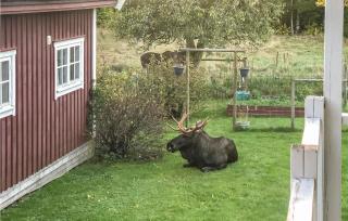 Pet Friendly Home In Stillingsön - Henån - 2
