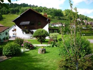 Gîte confortable à La Bresse, proche centre-ville, nature et activités - FR-1-589-97 - La Bresse - 2