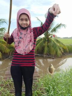 Chalet kolam renang D'sawah C - 4