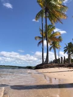 Jardim UIXA - Ilha de Boipeba - 4