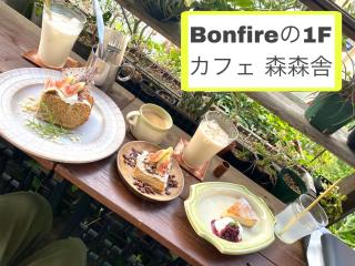 Bonfire Hostel Osaka - Osaca - 3