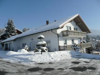 Ferienhaus Wellisch - 0