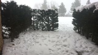 Le Jardin de Font Romeu - 9