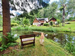 Ferienhaus Jägerhaus Oppach Privathaus - Oppach - 5