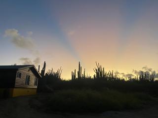 Cozy studio with private spa - Oranjestad - 8