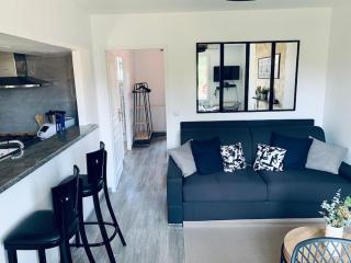 Appartement proche Astérix, Stade de France, Chantilly, Roissy, piscine saisonnière - La Chapelle-en-Serval - 8