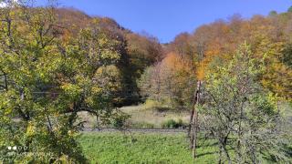 Gorec - Jaremtsche - 6