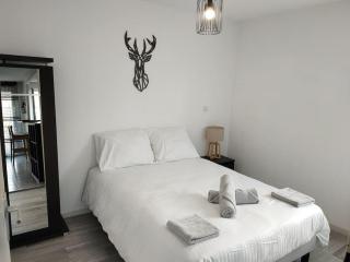 Spacieux et joli appartement de 2 à 4 personnes • Parking • Wifi - Fenouillet - 3
