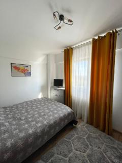Cozy Apartment - near Airport and Palas Mall - Iaşi - 5