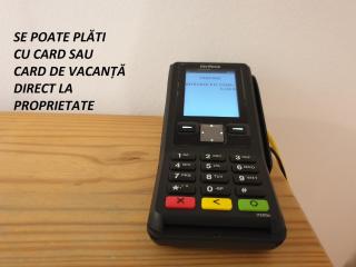 RORO Residence - 2 apartamente într-o vilă central - Sibiu - 1