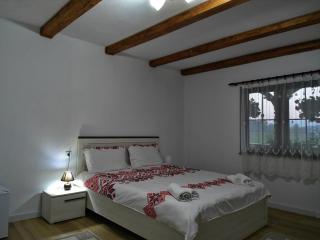 Conacul Cosăului - Fereşti - 5