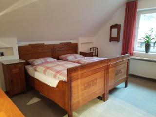 Große Ferienwohnung, auf Bauernhof mit Ponys und Pferden, ländlich und ruhig, Nähe Dümmer See - Holdorf - 4