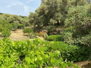 Seaview Garden Villa - 1