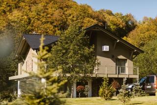 The Lazy Bear - Sovata - 7