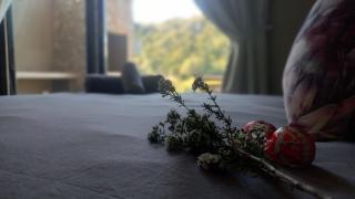 Fijnbosch Game Lodge Jeffreys Bay - Jeffreys Bay - 6