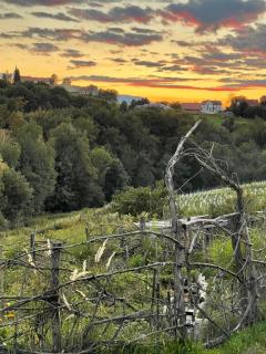 Boutique Glamping Divja DiVine - 6