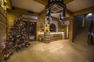 Carlina Hotel & SPA - Białka Tatrzańska - 8