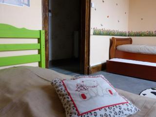 Maison de Campagne Familiale avec Mini-Ferme et Activités pour Enfants - FR-1-489-121 - Saligny-sur-Roudon - 2