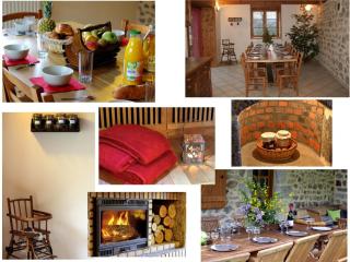 Maison en pierre avec sauna et jardin à Chalmazel - FR-1-496-39 - 4